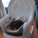 Normand Brien - @normand.brien.336 - Instagram