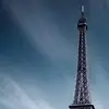 Norman Bunny - @norman.bunny - TikTok