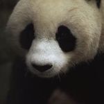 Carson Norman - @carson.norman - Instagram