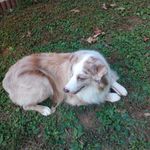 Carson Samuel Norman - @normancarsonsamuel - Instagram