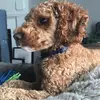Norman Casey - @normancasey101 - TikTok