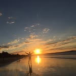 CY - @norman__chang - Instagram