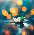 Norman Chang - Facebook