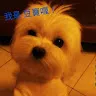 Norman Chang - @norman570425 - TikTok