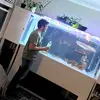 Norman - @normancat1 - TikTok