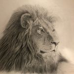 Norman Chen - @taiwannorman0810 - Instagram