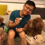 Norman Chen - @norman.chen.19 - Instagram