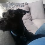 Norman Cochrane - @cochranenorman - Instagram