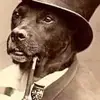 bigfootNorman Conrad - @normanconrad18 - TikTok