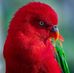 Norman Cornelius - Facebook