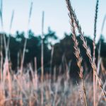 Normandy Covington - @normandycovington - Instagram