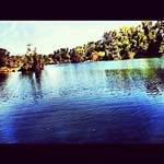 _Norman_Cross_ - @_norman_cross_a - Instagram
