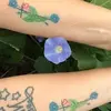 darlenecrossvannorman - @darlenecrossvannorman - TikTok