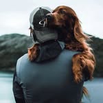 Norman Cross - @onlyone_officialnorman - Instagram