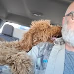 Norman Chewbacca crouch - @norman.4.life - Instagram