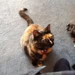 Brenda Cummings - @norman.cummings.9 - Instagram