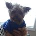 Norman Curry - Facebook