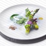 Salim Riess - @normandahlhaus - Instagram