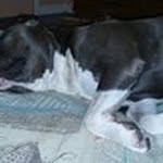 Norman Darling - @norman.darling - Instagram