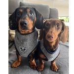 Norman & Dennis the Sausages🤎 - @normananddennis - Instagram
