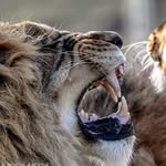 Norman Dyson - @norman.dyson.56 - Instagram