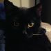 Norman Eaves - Facebook