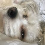 Norman Edgar Fishwick - @norman_edgar_ - Instagram