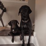 Norman&Edgar - @normanandeddi - Instagram