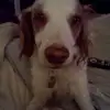 Norman Meisenberg - @normanmeisenberg - TikTok