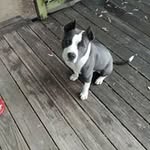 Everett Norman - @everettnorman - Instagram