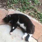@norman_maddy_everett2008 - Instagram