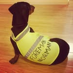 Foreman Norman - @foreman_norman - Instagram