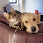 norman&frank - @norman_frank_kevin - Instagram