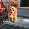 @norman.frederick - @norman5523 - TikTok