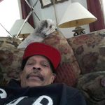 Norman Fulton - @norman.fulton - Instagram