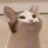 Gabriel Norman - @gabriel.norman5 - TikTok
