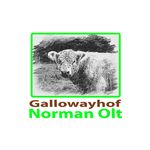 Gallowayhof Norman Olt - @gallowayhof_normanolt - Instagram