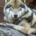 Norman Gallant - Facebook