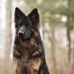 Normand Gallant - Facebook