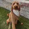 Norman - @goodboynorman - TikTok