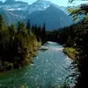 Norman Graber - @norman.graber - TikTok