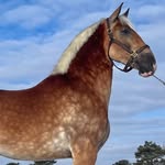 Norman Graber - @normangraber07 - Instagram
