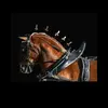 Norman - @normangraber48 - TikTok