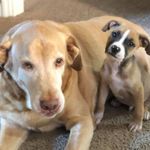 Gregg Norman - @greggnorman71 - Instagram