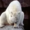 normangriffiths86 - @normangriffiths86 - TikTok