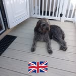 Norman Grimes - @norman_grimes - Instagram