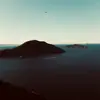 grimshaw - @notgrimshaw - TikTok