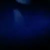 Norman Shaw - @norman.shaw11 - TikTok