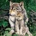 Norman Hamann - Facebook