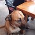 Norman Hamann - Facebook